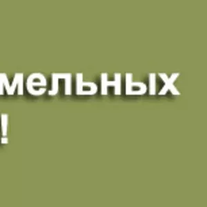 Вирішення земельних питань. Зем-Гарант