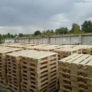 Продам поддоны деревянные новые