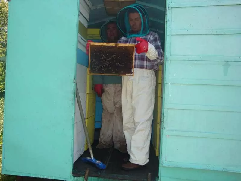 Продаю  мед и продукты пчеловодства с собственной пасеки 3