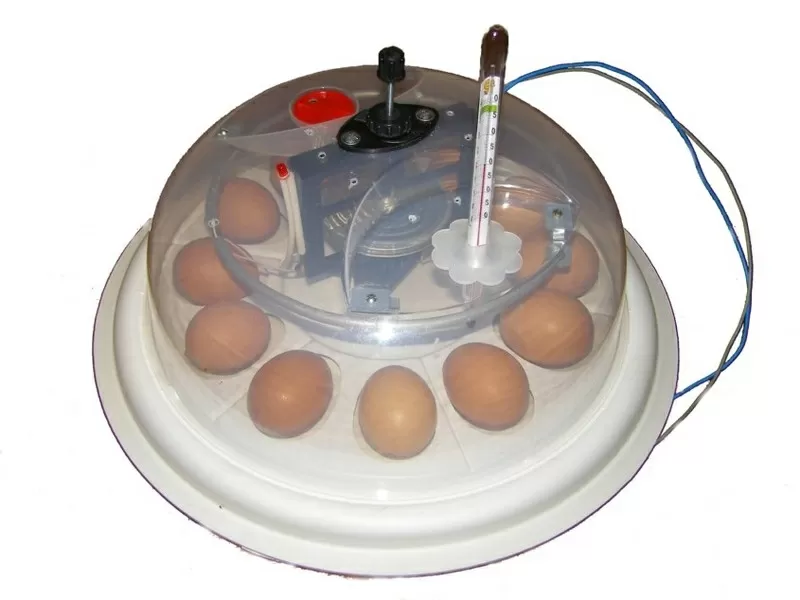 Инкубаторы для Ваших птиц,  наша задача обеспечить Ваши яица теплом.